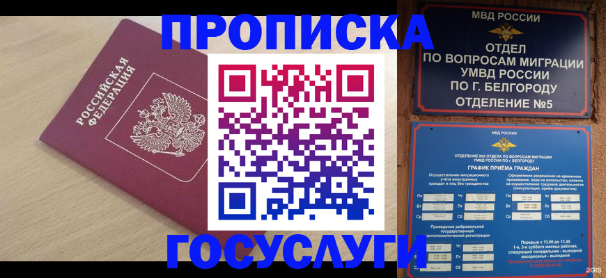 прописка законно в Беломорске